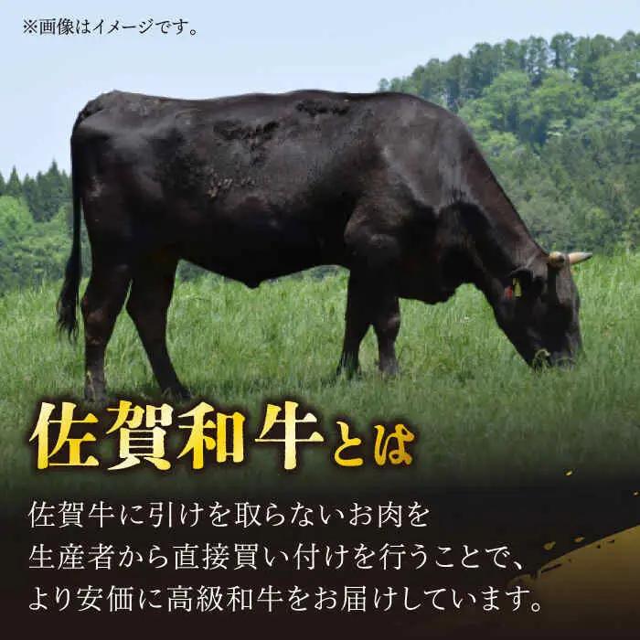 牛肉ももカタ薄切り 計600g NAC029 牛肉ももカタ