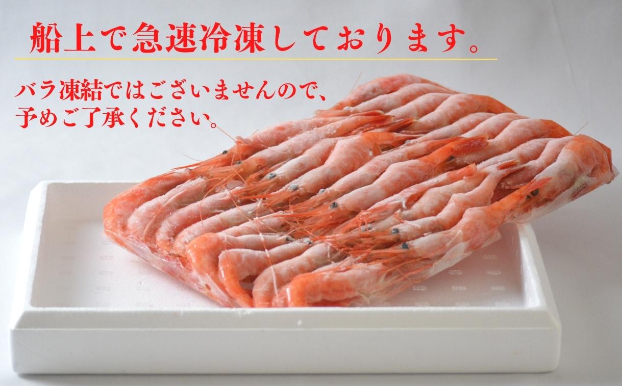 【鮮度抜群！天然大ぶり 甘えび 700g（約30尾）】冷凍 カニの本場 香住産 新鮮 産地直送 山陰の赤い宝石「甘えび」 濃厚で甘みの強い大ぶり甘えびをご堪能ください 発送目安：2ヶ月以内 大人気 ふ