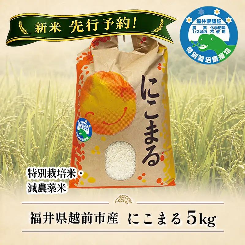 新米先行予約！【令和8年産】 福井県越前市産にこまる　福井県特別栽培米　5kg