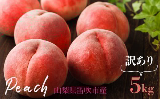 【2026年発送★先行予約】訳あり桃 5kg 山梨県笛吹市産 235-009-26y