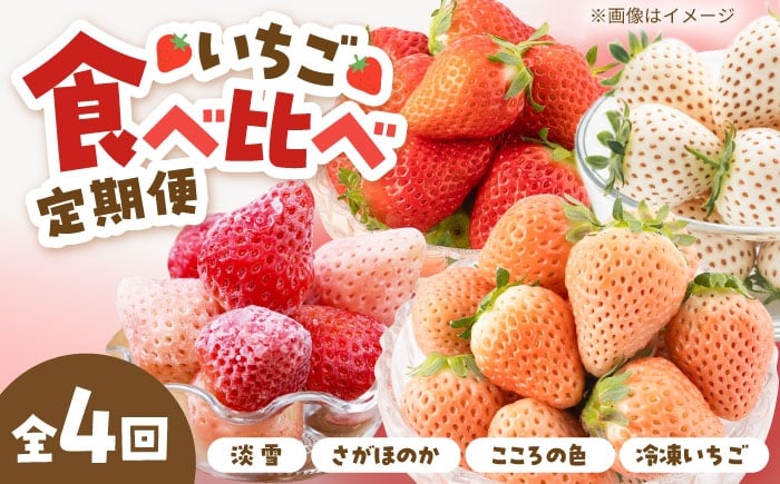 
                  【R8年1月以降発送】【4回定期便】岸川農園の自慢の赤白いちご（淡雪・さがほのか・こころの色・冷凍いちご） 【岸川農園】  佐賀県 白石 [IAP046]
                