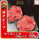 【ふるさと納税】神戸ビーフ　切り落とし肉　500g×2　計1000g　YBS2S【配送不可地域：離島】【1498632】