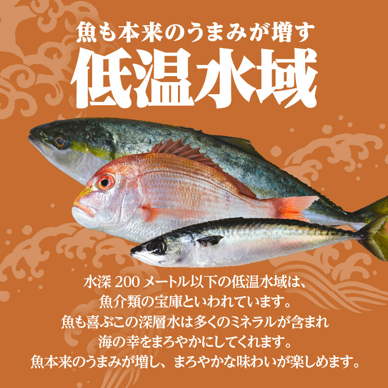 【海幸】漬け魚 9種 詰め合わせ（FK-02）　K065-005