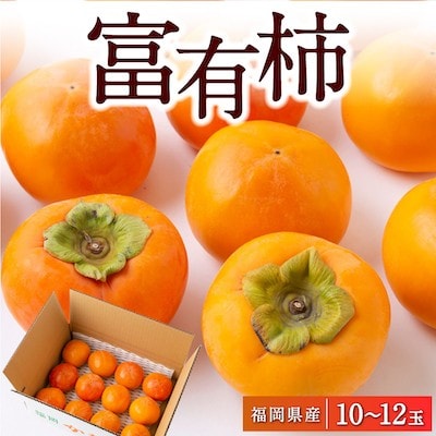 【先行受付】江藤農園 富有柿 10から12玉(約3kg)