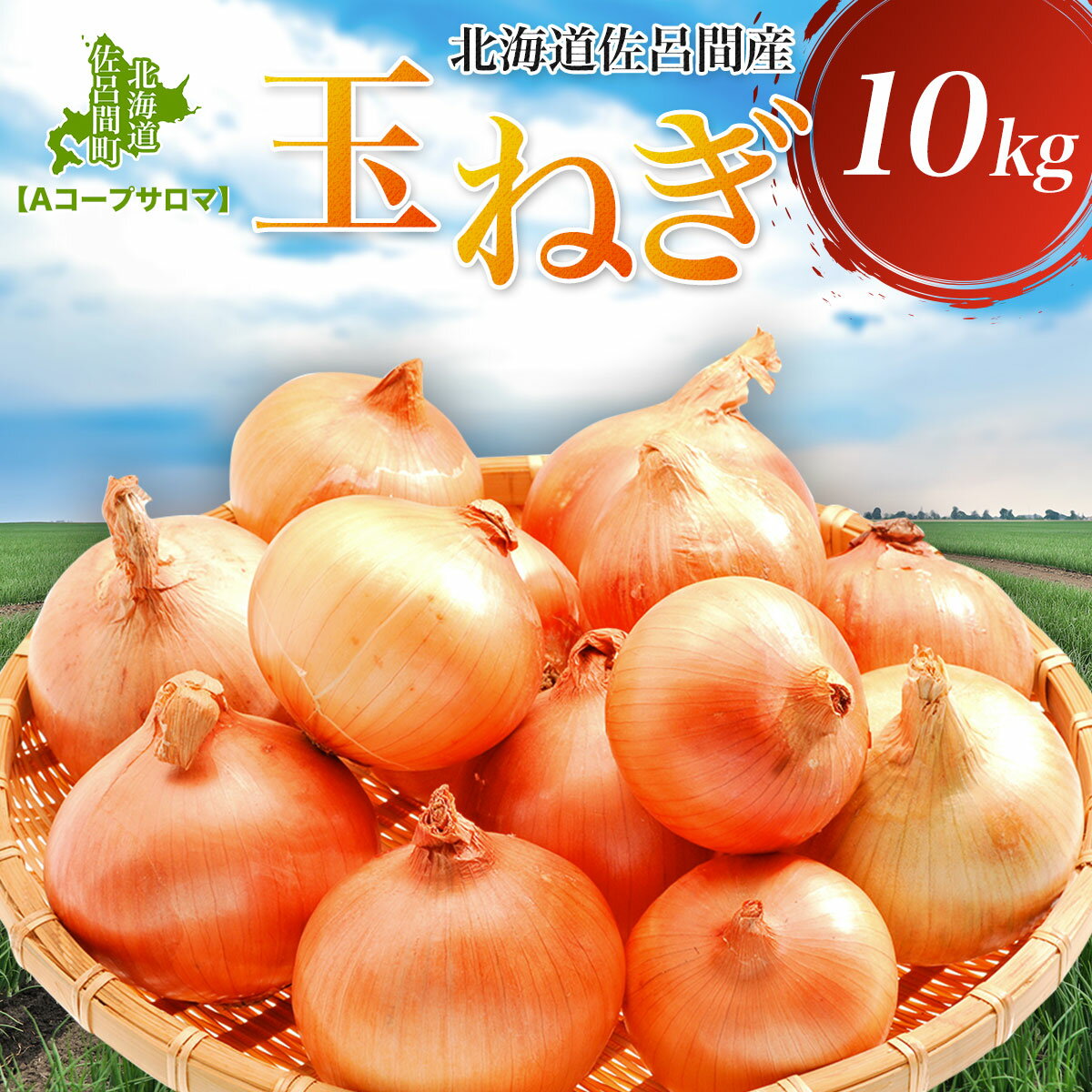 【ふるさと納税】玉ねぎ 10kg 北海道 佐呂間産（2025年10月出荷開始先行予約） 【 ふるさと納税 人気 おすすめ ランキング 野菜 玉ねぎ タマネギ たまねぎ おいしい 美味しい 新鮮 北海道 佐呂間町 送料無料 】 SRMM019