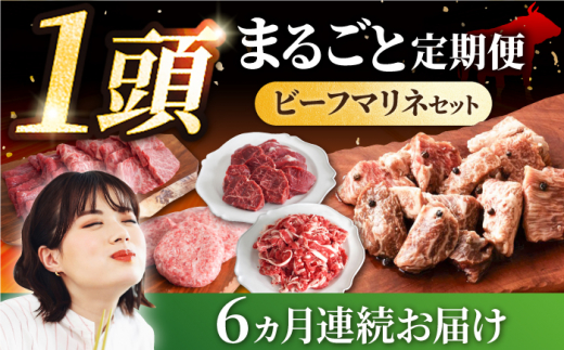 【6回定期便】しろいし牛1頭まるごと 食卓定期便 大容量 マリネ 焼肉 ハンバーグ【有限会社佐賀セントラル牧場】 [IAH222]