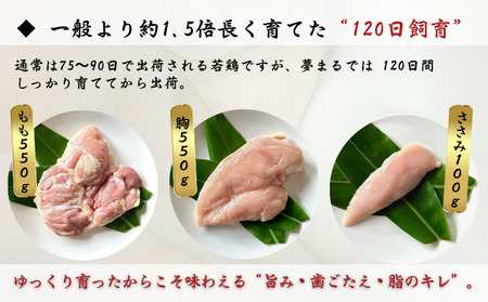 種子島 夢まるガーデン 若鶏 1羽 分 約1,2kg （ 精肉 用 ）　NFN635 【675pt】