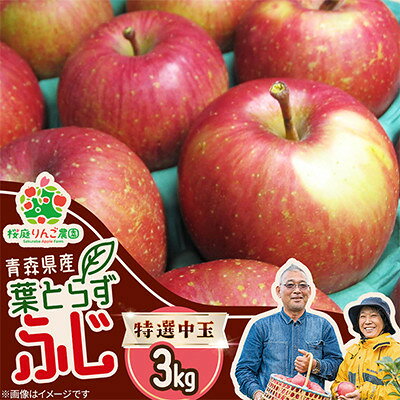 【ふるさと納税】葉とらずふじ特選中玉3kg【1789776】