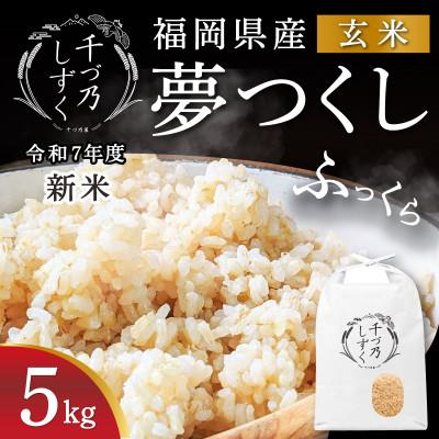 ふるさと納税 苅田町 【令和7年産 新米先行受付】福岡県産 夢つくし【千づ乃しずく】5kg 玄米