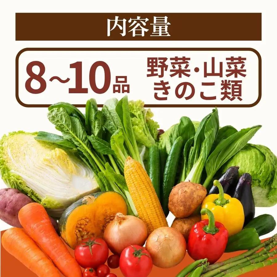 季節の野菜セット 12回 野菜定期便