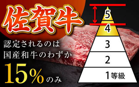 佐賀牛セット ハンバーグ150g×6個・切り落とし500g HCS072 ハンバーグ 和牛