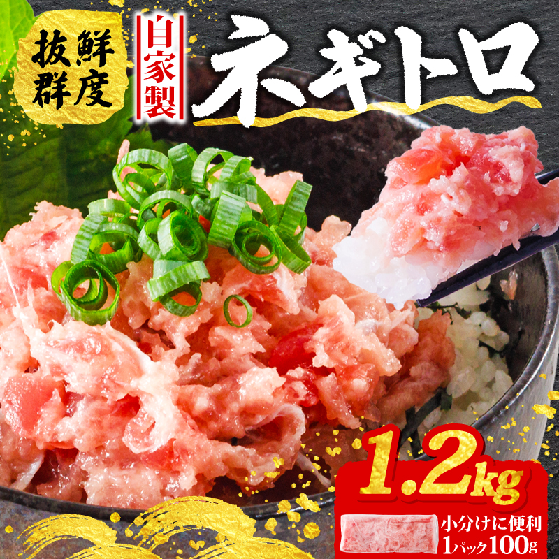 ss003 ネギトロ 100g×12パック (1.2kg) 愛媛県 松山市