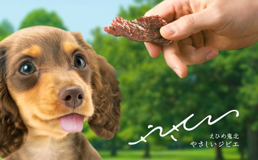 【GIBIEVERYシリーズ】ジューシージャーキー 5個セット ｜ 犬用、ペットフード、おやつ、ジビエ、ペット、PET、ジャーキー、カット、健康、栄養、高タンパク、低脂質、鉄分、ビタミン、通販、お取り