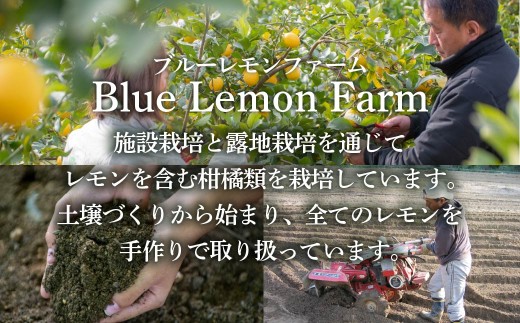 瀬戸内産 カットレモン冷凍　200g×5パック【2026年2月中旬〜順次発送】【冷凍便】数量限定【配送不可地域：離島】