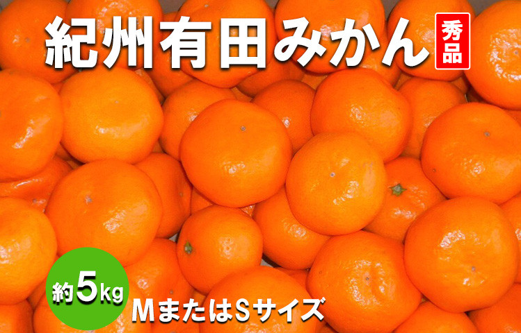 
            紀州有田みかん　秀品　約5kg　(МまたはSサイズ)
※離島への配送不可
※2024年11月中旬～2025年1月中旬頃に順次発送予定
          