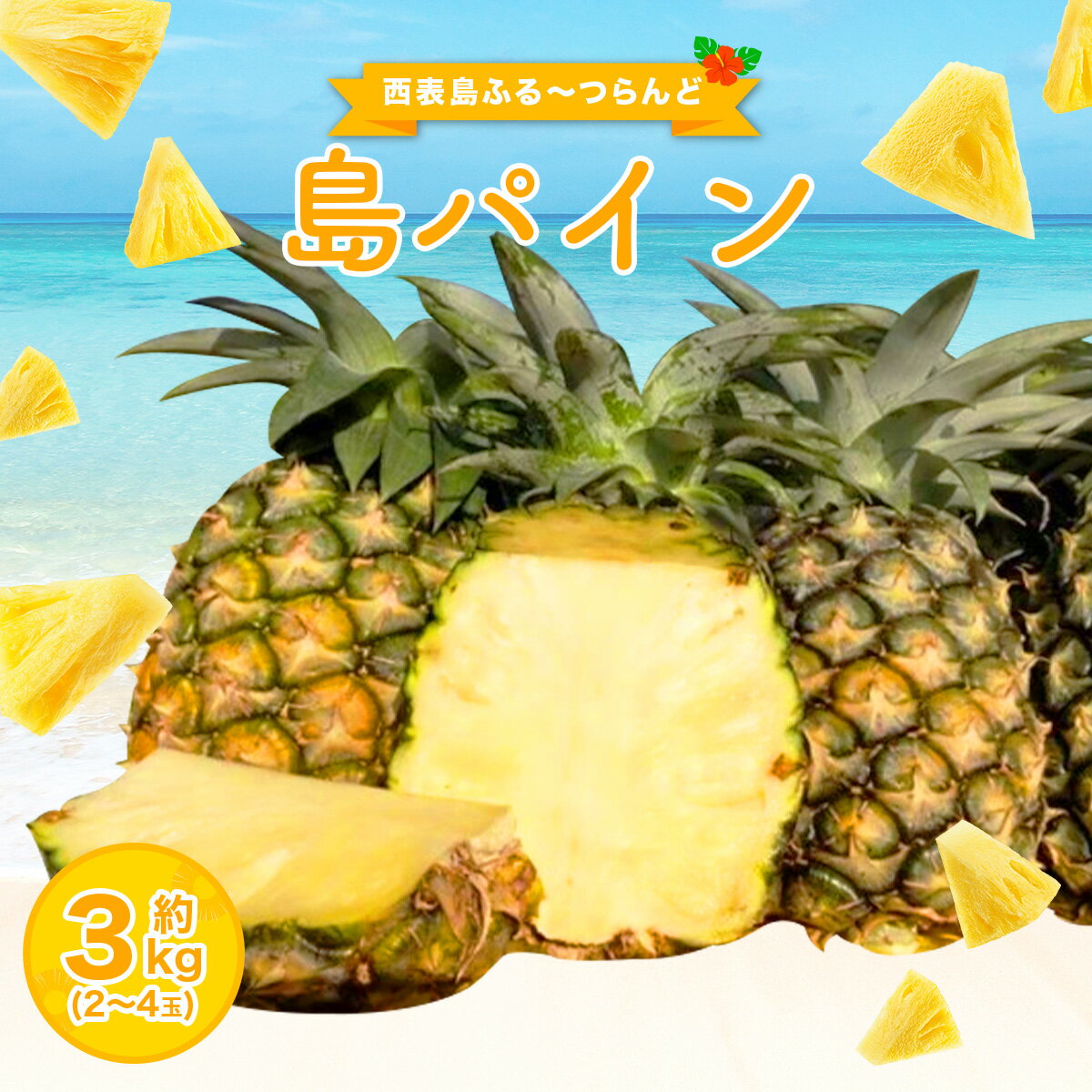 【ふるさと納税】2025年先行予約 島パイン (ハワイ種) 約3kg 2〜4玉 パイナップルの王道 【西表島産 パイン 果物 フルーツ 南国フルーツ パイナップル 沖縄県竹富町】　お届け：2025年6月中旬〜7月下旬（収穫でき次第順次発送）