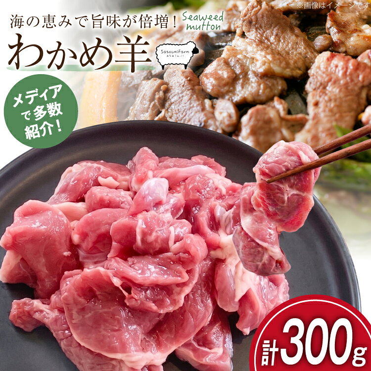 【ふるさと納税】 【TVで紹介!】 ラム肉 南三陸 わかめ羊 300g [さとうみ羊牧 宮城県 南三陸町 m304auk330001] ラム 肉 ジンギスカン 羊肉 国産 わかめ 焼肉 キャンプ バーベキュー