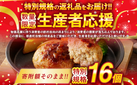 ≪数量限定≫宮崎県産豚プレミアムハンバーグ(計16個) 肉 豚肉 加工品 惣菜_T001-011-ZO【人気 ハンバーグ ギフト ハンバーグ 食品 ハンバーグ 惣菜 ハンバーグ 自家製  ハンバーグ 
