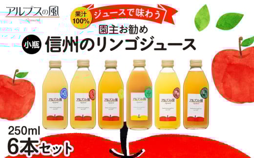果汁100％ジュースで味わう 品種別 リンゴジュース 園主お任せ 小瓶 6本 セット 詰め合わせ 園主お勧め りんご 林檎 アップル アップルジュース にんじん ミックスジュース 無添加 飲料 飲料類 甘い 豊饒な香り 酸味爽やか 濃厚 長野 長野県[№5675-1199]