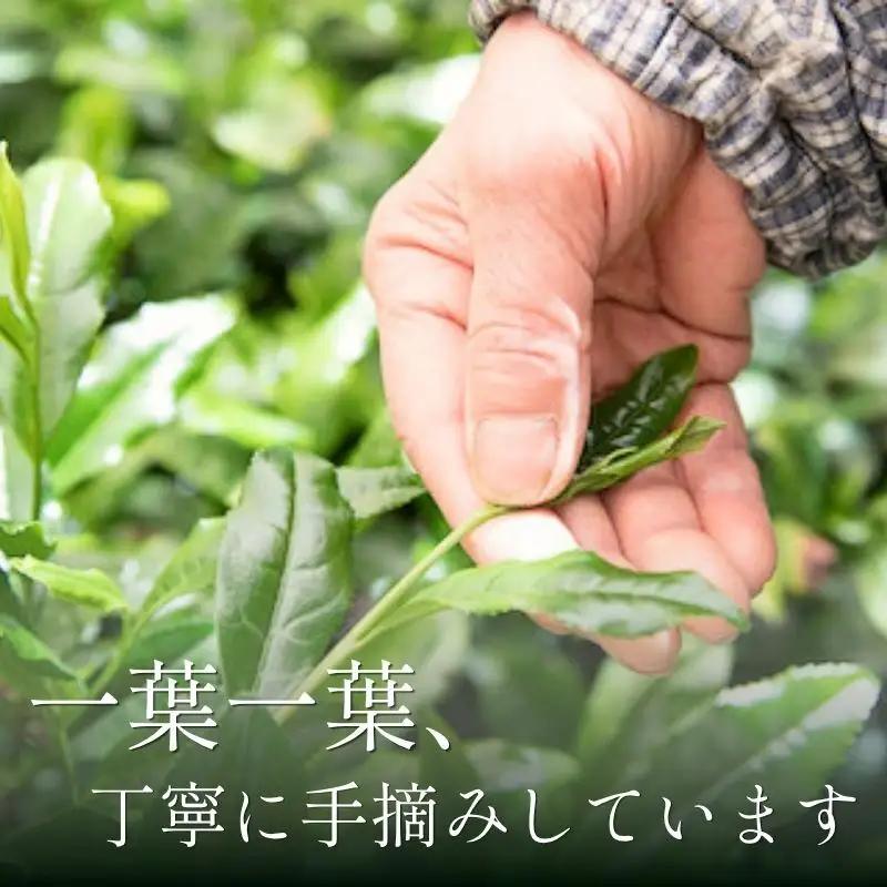 玉露 屋敷の茶 8g 30煎 玉露