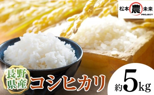 【10月中旬～発送】 新米 令和7年産 〔松本農未来project〕 信州松本産 こしひかり 5kg│信州松本 こしひかり 米 ご飯 白米 5kg 長野県 松本市 ふるさと納税 松本産