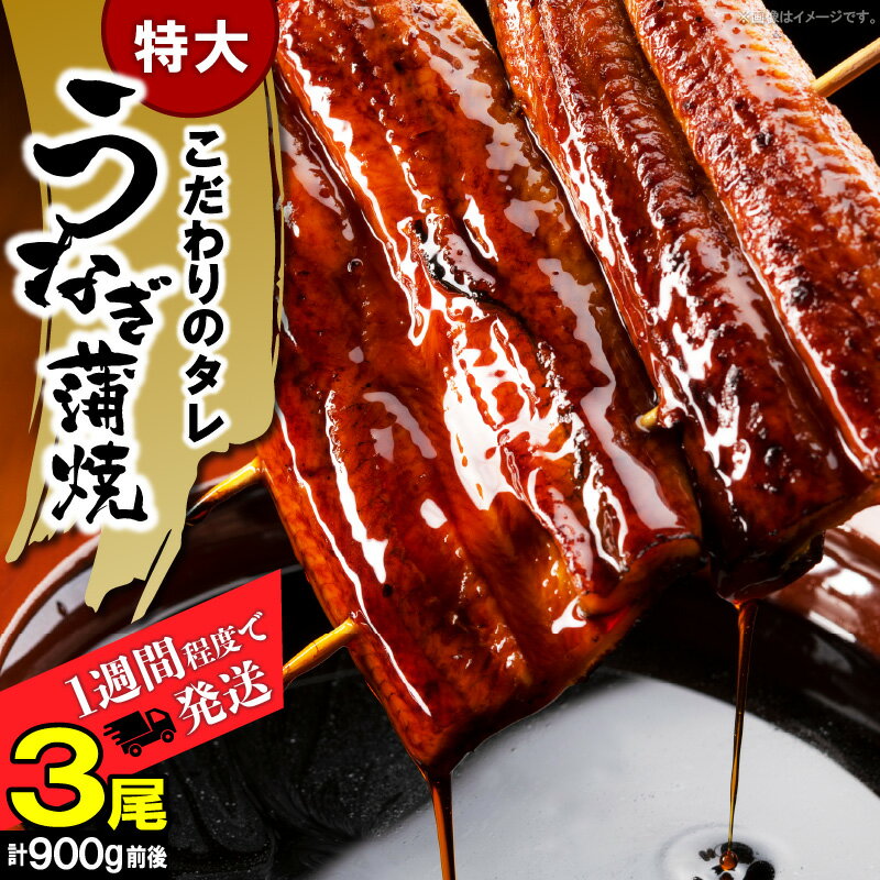【ふるさと納税】【レビューキャンペーン対象】 うなぎ 蒲焼 特大 3尾 計 900 g 前後 ビッグサイズ 特製 タレ 肉厚 ふっくら ジューシー 土用 丑の日 うな丼 ひつまぶし うまき うざく おかず おつまみ お弁当 食品 食べ物 グルメ お取り寄せ 冷凍 福岡県 上毛町 送料無料