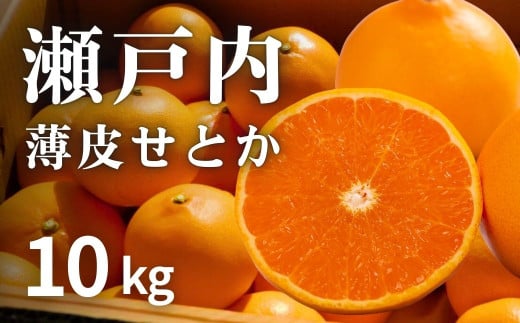 [予約] 2月発送 濃厚! 果汁たっぷり薄皮ハウスせとか 約10kg(35個程度)　広島県 大崎上島町 瀬戸内 柑橘 果物 フルーツ 贈答 ギフト