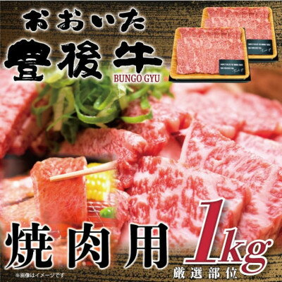 【ふるさと納税】おおいた豊後牛焼肉用 1kg(500g×2P)(日出町)【配送不可地域：離島】【1571694】
