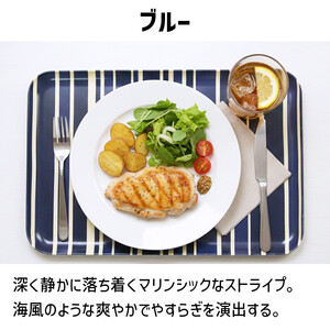 TATSU-CRAFT マグネットトレー SS 21.5cm トリノストライプ BL ブルー すべり止め付き ［Tk1056］