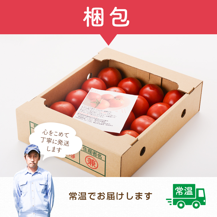【P74002】こだわり完熟トマト_イメージ5