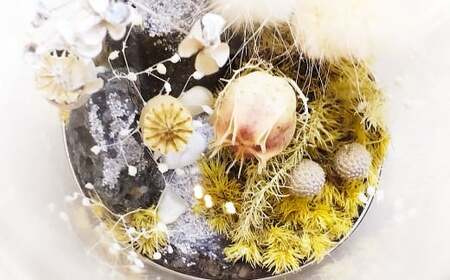 【さとリウム®】プリザーブド加工のテラリウム 冬 1セット｜ テラリウム ガラスドーム 苔 こけ コケ 植物 鑑賞用 インテリア 水やり不要