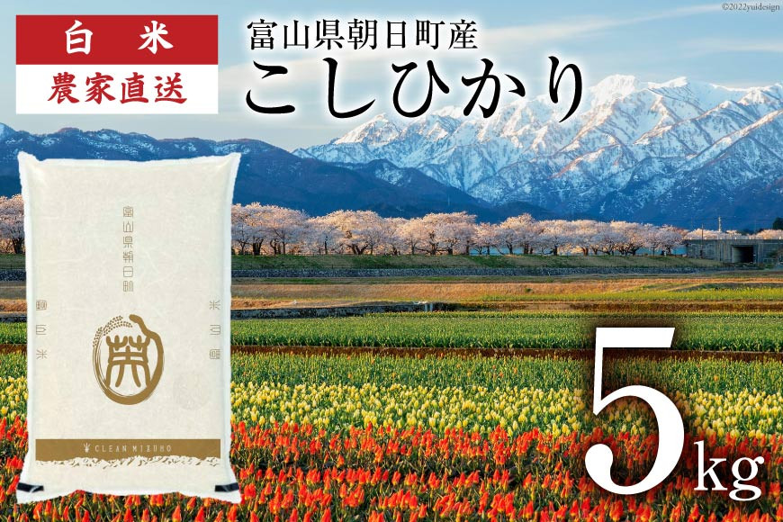 
            期間限定発送 米 令和6年 こしひかり 精米 5㎏ [クリーンみず穂 富山県 朝日町 34310435] お米 コシヒカリ コメ 5キロ ご飯 ごはん 白米 産地直送 一等米  おこめ こめ
          