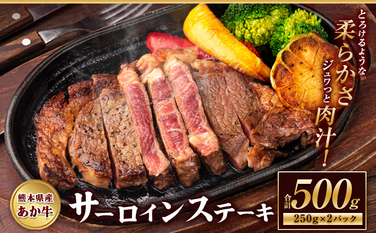 ステーキ 赤身 牛肉 サーロインステーキ 肉 あか牛 小分け 熊本県産 500g 赤牛《30日以内に出荷予定(土日祝除く)》---mna_faksir_30d_r8_13500_500g---