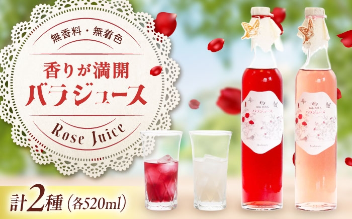
            ジュース 福山薔薇人 バラジュース 520mL×2本セット ジュース 有機栽培 食用ばら 高級贈答 福山ブランド 広島県福山市/マチモト株式会社 ふるさと納税 ローズ 薔薇 ばら 食品 食材 食べる 食用花 ドリンク 飲料 希釈用 無添加 オーガニック ギフト 人気 おすすめ 広島県 福山市 美容 健康 おしゃれ 人気 おすすめ 広島県 福山市 ふるさと納税 送料無料 [BABB001]
          