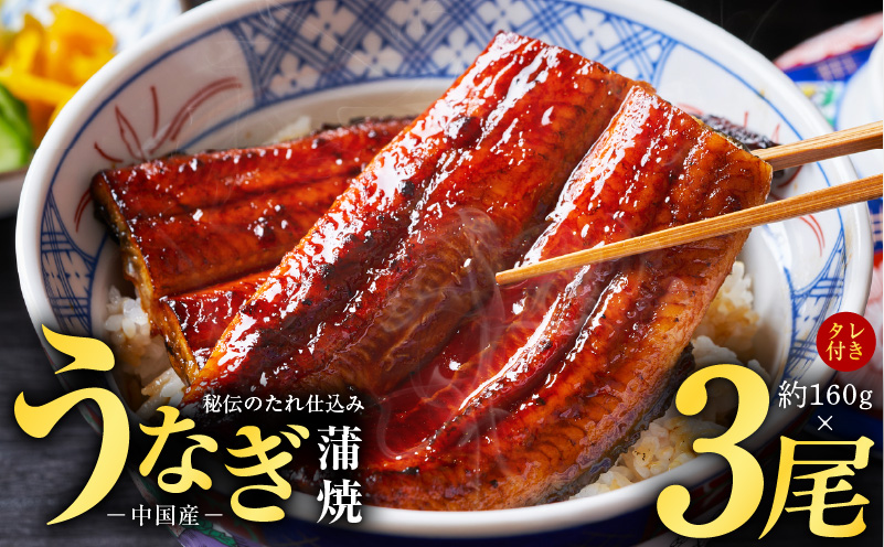 うなぎ蒲焼 合計480g【約160g×3尾 特製タレ 鰻 ウナギ 中国産 レンジ 温めるだけ 簡単調理 ふわふわ 炭火焼き 備長炭 手焼き 大阪 泉佐野 大阪府 泉佐野市】