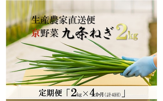 
										
										【4か月定期便】生産農家直送 京野菜・九条ねぎ2kg〈定期便 ねぎ ネギ 葱 九条ねぎ 京野菜 京都 新鮮 甘い 農家直送 野菜〉
									