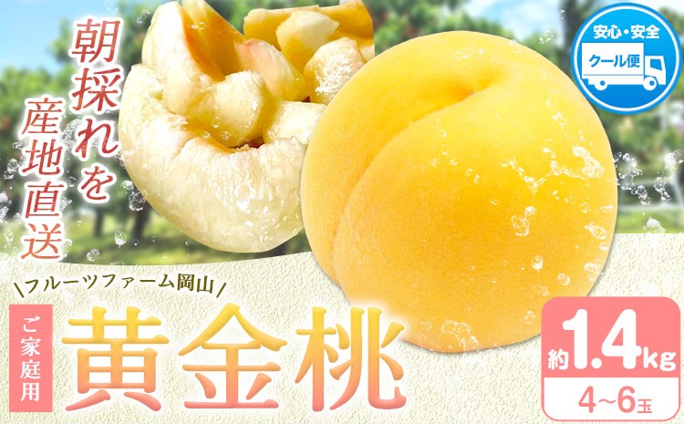 
                  桃  もも【2026年先行予約】桃 黄金桃 ご家庭用 選べる内容量 1.4kg (4～6玉) フルーツファーム岡山《2026年8月中旬-8月末頃出荷》岡山県 浅口市 送料無料 フルーツ モモ 果物 青果 旬 国産 岡山県産【配送不可地域あり】 st-p
                