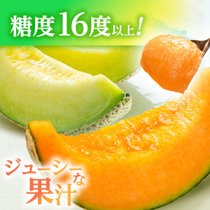 メロン 先行 予約 青森 減農薬栽培メロン 2玉 糖度16度以上保証 減農薬 青肉 赤肉 青肉メロン 赤肉メロン フルーツ 果物 旬のフルーツ 旬の果物 旬 夏 レビュー 高評価 先行予約 2026 