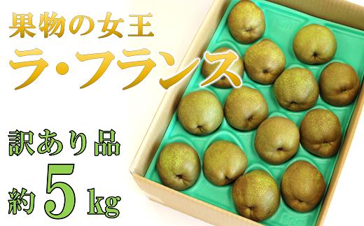 〈訳あり品 家庭用〉 ラ・フランス 約5kg (10～18玉) 《令和6年10月下旬～発送》 『旬の果実 佐藤市右衛門農園』 ラフランス 西洋梨 洋なし 訳あり 果物 フルーツ デザート 山形県 南陽