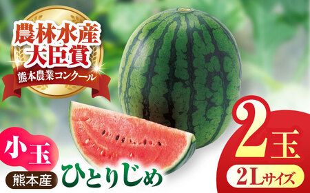 【先行予約】小玉スイカ ひとりじめ 2玉 2Lサイズ 【株式会社 前田ファーム】[ZCM011]