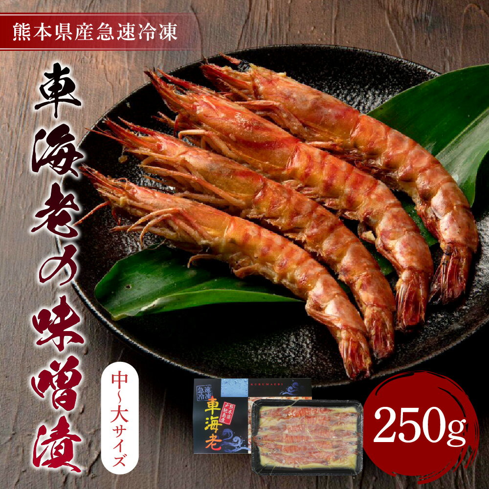 【ふるさと納税】 車海老 味噌漬 合計250g (中〜大サイズ) 海老 えび エビ 魚介 魚介類 味噌 加工品 急速冷凍 冷凍 熊本県産 九州 送料無料