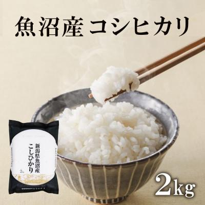 ふるさと納税 十日町市 魚沼産コシヒカリ　2kg×1