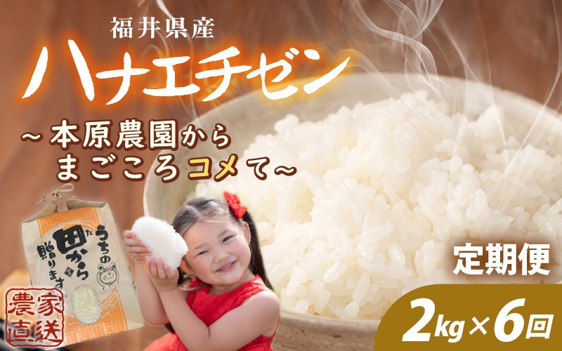 
                  【先行予約】【令和8年産・新米】定期便 6ヶ月連続お届け ハナエチゼン 2kg (1袋) × 6回 計12kg 【白米】 ～本原農園からまごころコメて～ 【2026年9月上旬以降順次発送予定】【お米 白米 はなえちぜん 精米 ブランド米 ごはん ご飯 おいしい ふるさと納税米 産地直送】 [B-8948] 
                