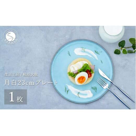 有田焼 月白23cmプレート【梶原大敬 茂正工房】食器 うつわ 器 皿 青磁 食器 作家 35000円 3.5万円 ak006