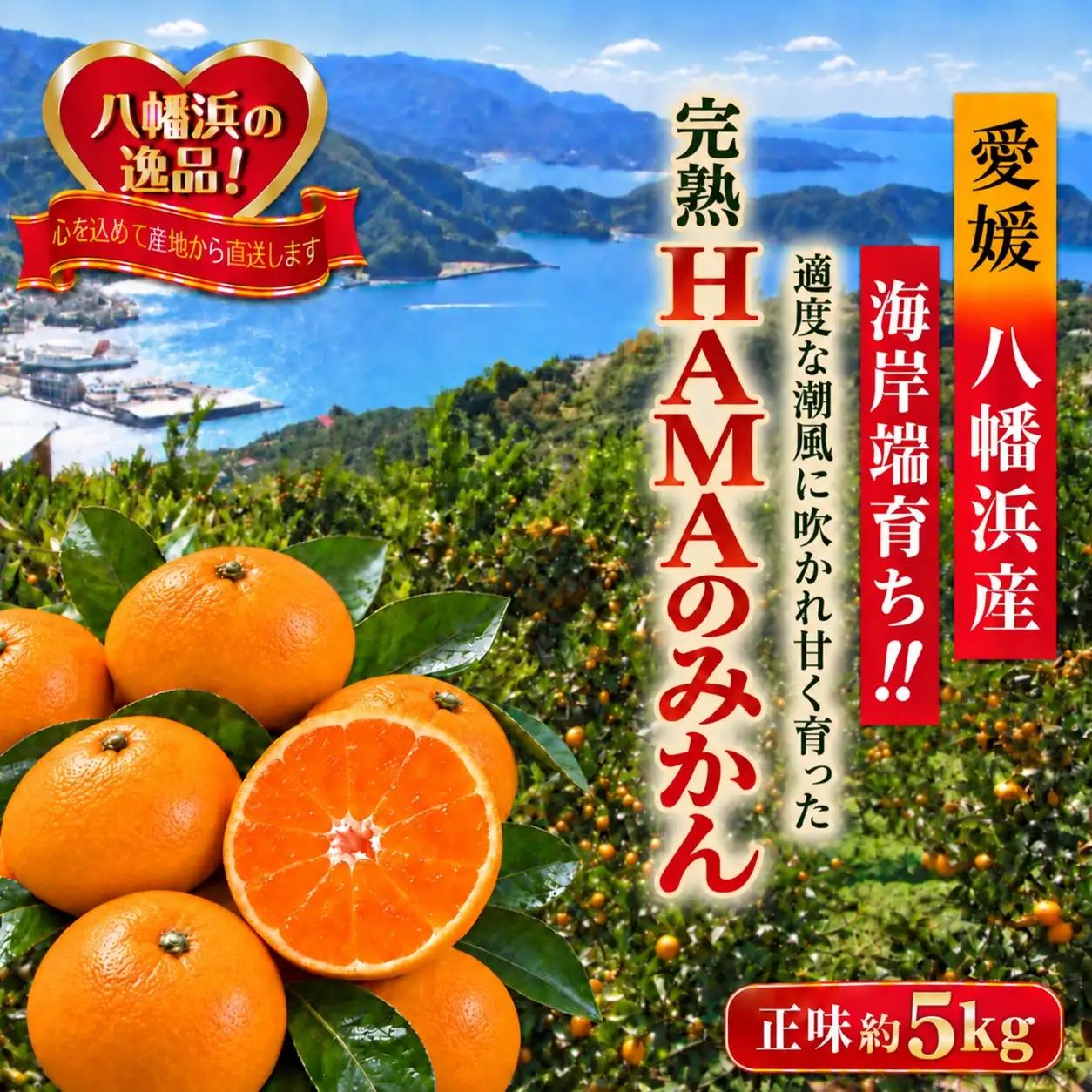 【先行受付】ミネラルを運ぶ潮風に吹かれ甘く育ったみかんを厳選　完熟「HAMAのみかん」　正味約５ｋｇ【39-95】YWTF070