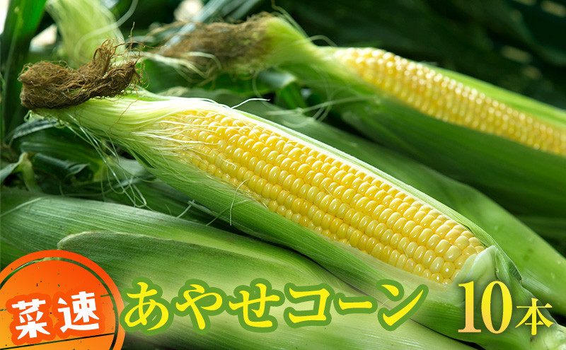 
新鮮朝採り 「菜速　あやせコーン®」
