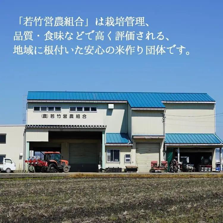 【R8年度産米 新米予約】[人気のブランド米]コシヒカリ 「若竹のお米 」　10kg（5kg×2）【精米】｜新米 先行予約 令和8年産米 ブランド米 こしひかり 銘柄米 こめ 白米 富山県 ※離島への