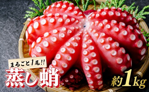 ＜冷蔵配送：要着日指定＞蒸し蛸 まるごと1尾(約1kg) | 刺身用 茹でダコ タコ たこ 刺身 蛸 1000g ダコ 刺身用タコ ゆでダコ タコ刺し 海鮮 お刺身 人気 ランキング 贈答用 ギフト ふるさと納税 茨城県 ひたちなか市【1212079】