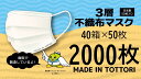 【ふるさと納税】鳥取県岩美町産　不織布マスク50枚入り×40箱（2000枚）【72001】