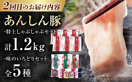 【4回定期便】 白川のごちそうお届け定期便 飛騨牛 豚肉 鶏ちゃん うなぎ 定期便 / 白川町[AWCE012]